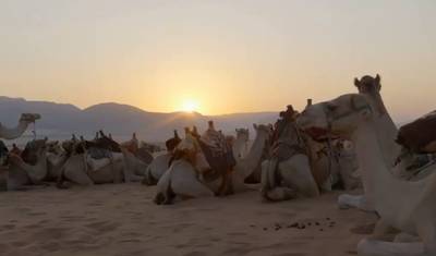 Mauritania Discovery Tour – 8 Days / 7 Nights — 4