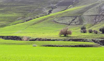 Explore the magic of Southern Algeria in 5 days — 2