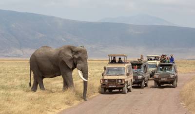 Family Safari Explorers 3 Days — 3