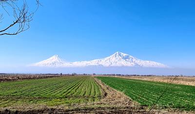 Premium Food and Wine Tour in Georgia and Armenia - Private Tour — 4