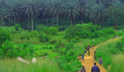 Exploring Sierra Leone’s Untamed Beauty in 7 Days — 2