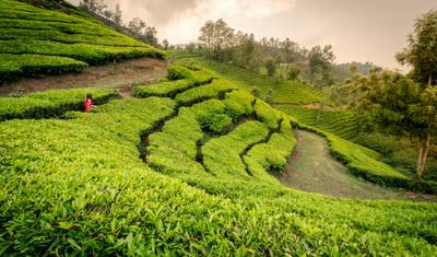 Luxury Passage of South India — 3