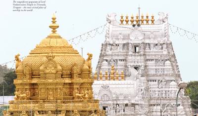 Private 9-Day South India Temple Tour: Madurai, Tanjore, Tirupati, Rameswaram & Pondicherry Spiritual Journey — 3