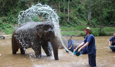 Timeless Thailand - From Temples, Jungles to Beaches — 5