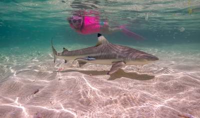 PNG Small Group Adventure – Highlands & Islands Tour — 5