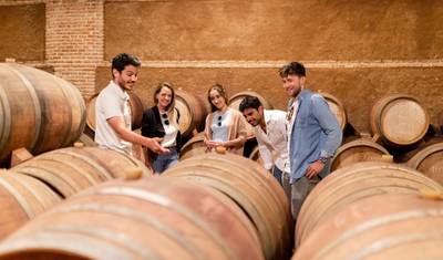 Segovia, Avila and Toledo in 2 days from Madrid — 5