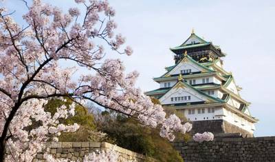 9日間 文化を深く学ぶ 日本 スモールグループツアー（4つ星ホテル客室） — 3