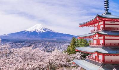 Excursão de 9 Dias: O Melhor das Cerejeiras em Flor no Japão 2026 | Experiência Sakura em Pequeno Grupo — 3