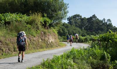 Camino de Santiago The French Way - 8 days — 2