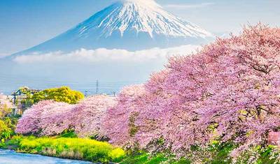 Best of Japan — 2