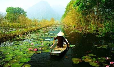 Vietnam at a Glance — 5