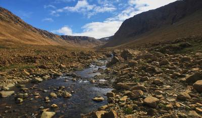 Newfoundland Adventure: From Deer Lake to St. John's — 2