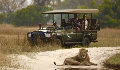 3-dniowa przygoda safari w Chobe – rejsy łodzią i przejażdżki safari — 4
