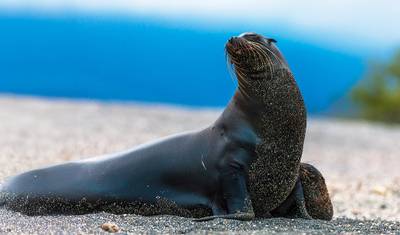 Peru and Ecuador - from Machu Picchu to the Galápagos Islands — 5