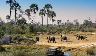 Safari de 3 Dias pela Vida Selvagem de Chobe e Okavango — 2