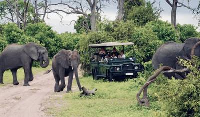 Safari de 3 Dias pela Vida Selvagem de Chobe e Okavango — 4