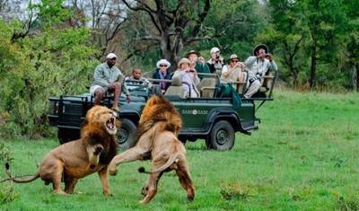 Safari de 3 Dias pela Vida Selvagem de Chobe e Okavango — 5