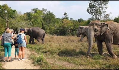 Cambodia Adventure Tour In 7 Days — 2