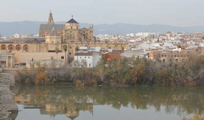 6 أيام في إشبيلية: مع رحلات يومية إلى Ronda وCórdoba وAlhambra — 4