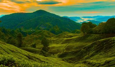 اكتشف ماليزيا: 12 يومًا في كوالالمبور، Cameron Highlands، بينانج و Langkawi — 4