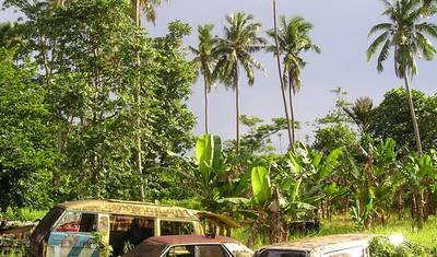 American Samoa Cultural & Nature Escape 7-Day — 4