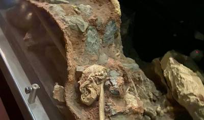 人類のゆりかご（Cradle of HumanKind）—マロペン＆スタークフォンテイン洞窟 — 3