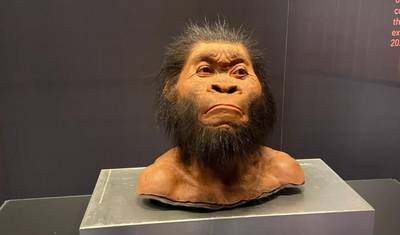 人類のゆりかご（Cradle of HumanKind）—マロペン＆スタークフォンテイン洞窟 — 4