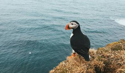 スコットランド諸島：歴史とハイランドを巡る探検 — 2
