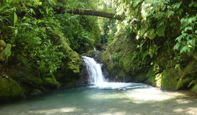Quito to Mindo Cloud Forest Escape — 5