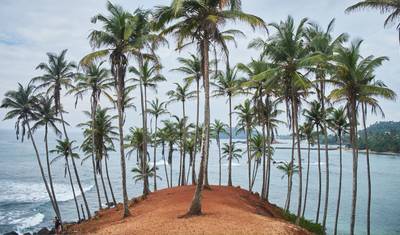 Cultural Odyssey in Sri Lanka — 4