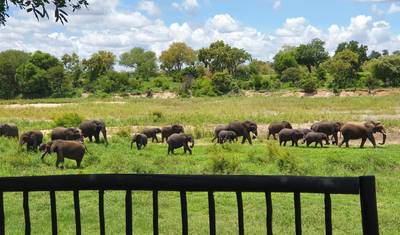 4-Day Adventure – Sabi Sands Safari Lodge Escape — 2