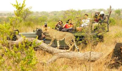 4-Day Adventure – Sabi Sands Safari Lodge Escape — 5