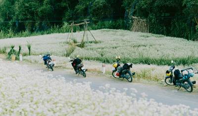 ハノイ発ハザンループ少人数制バイクアドベンチャー – 必見の目的地を発見 — 2