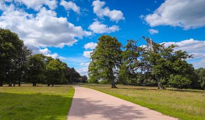 Windsor, Stonehenge, Bath e Oxford saindo de Londres - 2 Dias — 2