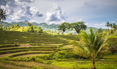 Essential Philippines — 5