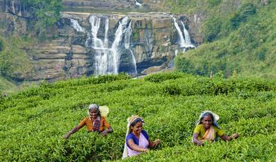 3 Nights & 4 Days Sri Lanka — 5