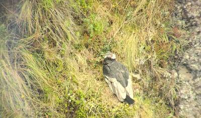 Quito to Antisana: Andean Highlands Private Tour — 4