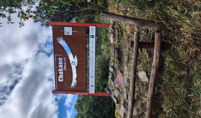 Quito to Antisana: Andean Highlands Private Tour — 3