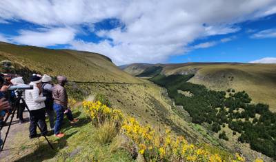 Quito to Antisana: Andean Highlands Private Tour — 5