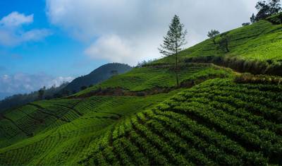 Sri Lanka Highlights Odyssey — 2