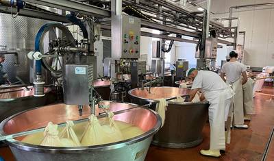 Emilia‑Romagna in Four: Cheese, Wine, Balsamic & Ferrari Thrills — 3