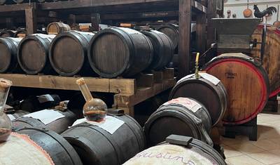 Emilia‑Romagna in Four: Cheese, Wine, Balsamic & Ferrari Thrills — 5