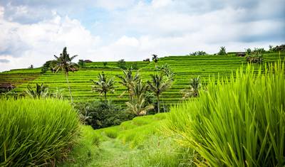 8 Dias de Êxtase em Bali: Onde o Luxo Encontra Emoções, Cultura e Vida Noturna — 4