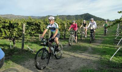 San Francisco, Redwoods & Vineyards - 5 days — 4