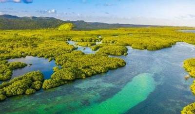 Along the Amazon and the Rio Negro, An Exclusive Cruise through Pristine and Hidden Nature (port-to-port cruise) — 2