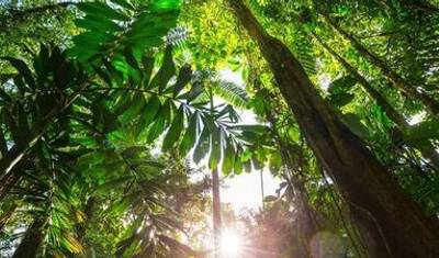 Gentle Amazon & the Tapajós River - An Enchanting and Intimate Cruise to the Most Beautiful Beaches of the Amazon (port-to-port cruise) — 4