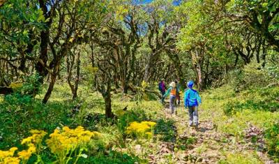 13 Days Bhutan In-Depth Tour (private guide and driver） - Customizable — 5