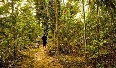 8-Day Luxury Amazon, Cerrado and Northern Pantanal — 2