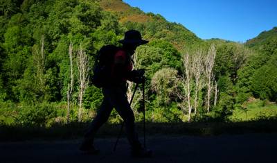 Camino de Santiago · طريق القديس يعقوب · الطريق الفرنسي · من Roncesvalles إلى Santiago de Compostela — 4