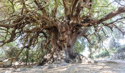 Discovering Northern Sardinia — 3